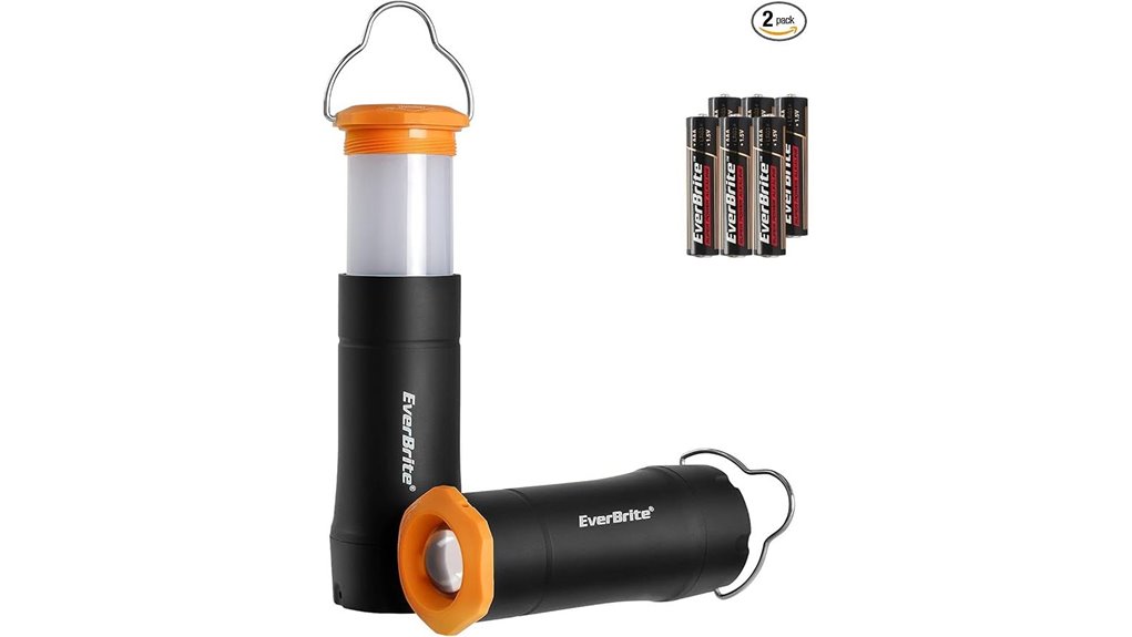 compact dual function lighting solution