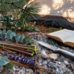 natural camping insect repellents