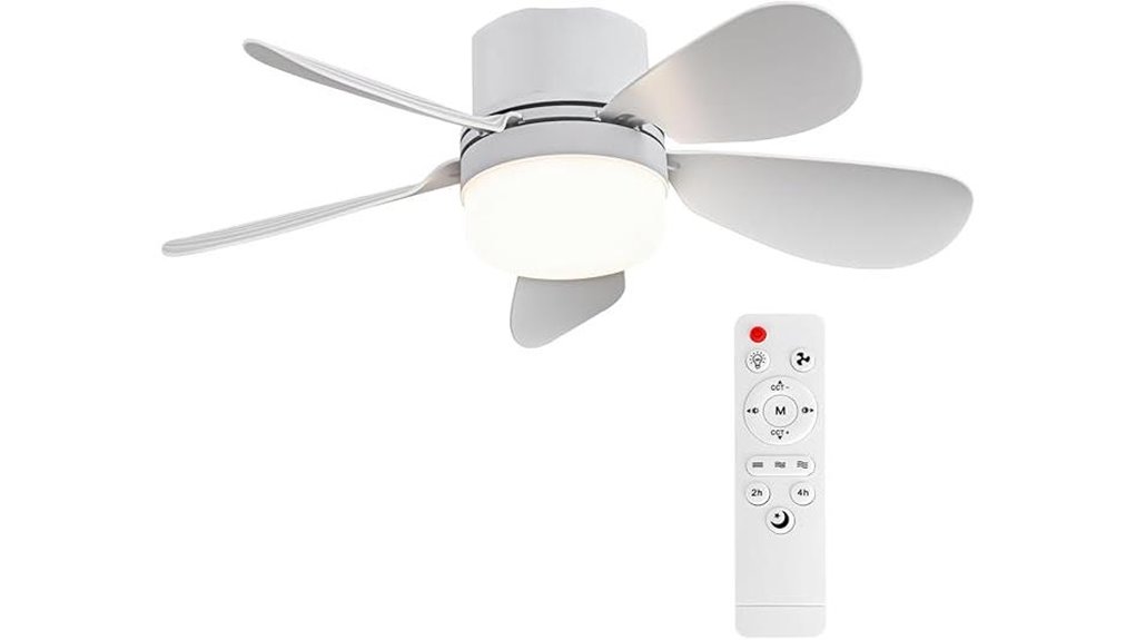 remote controlled socket fan