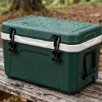 top camping coolers 2026