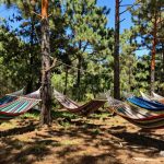 top camping hammocks 2026