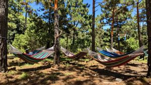 top camping hammocks 2026