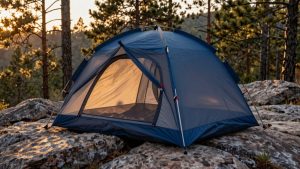 top camping mosquito nets