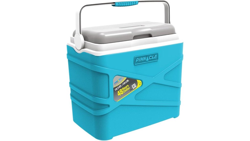 insulated cooler lunch box