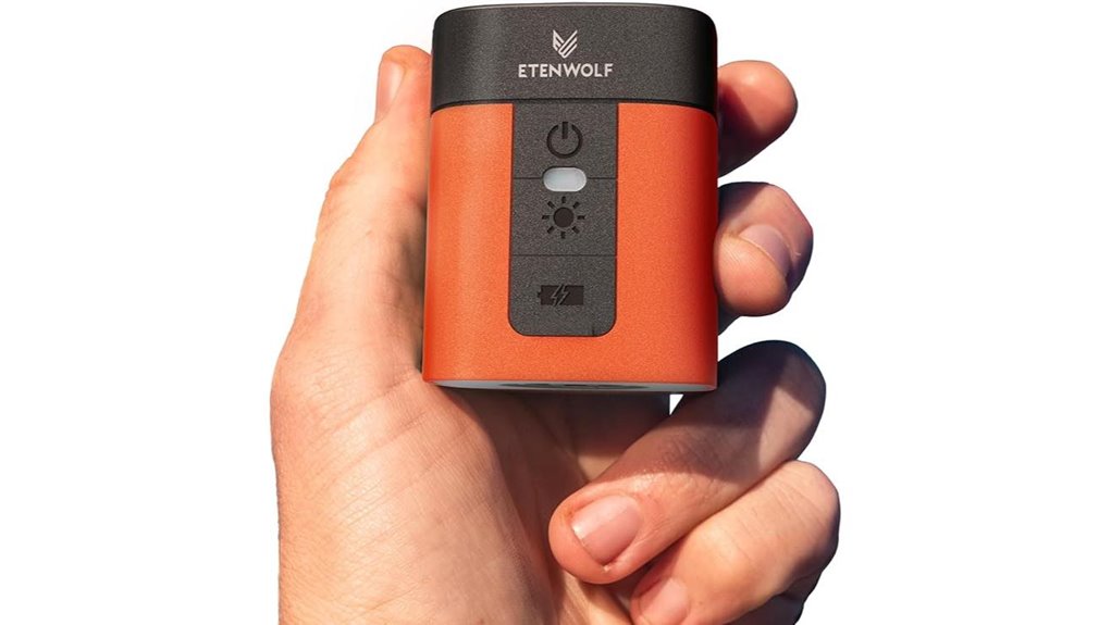 portable air pump light