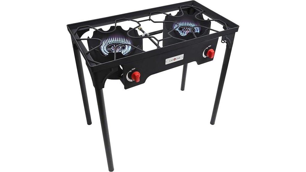 portable dual burner stove